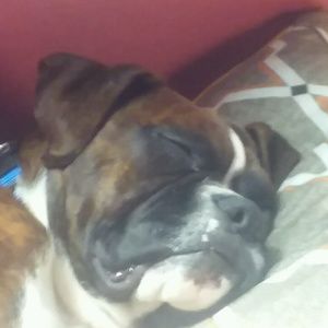 Meet your Posher, Gabriella